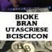 bitcoin scams and cheats on instagram