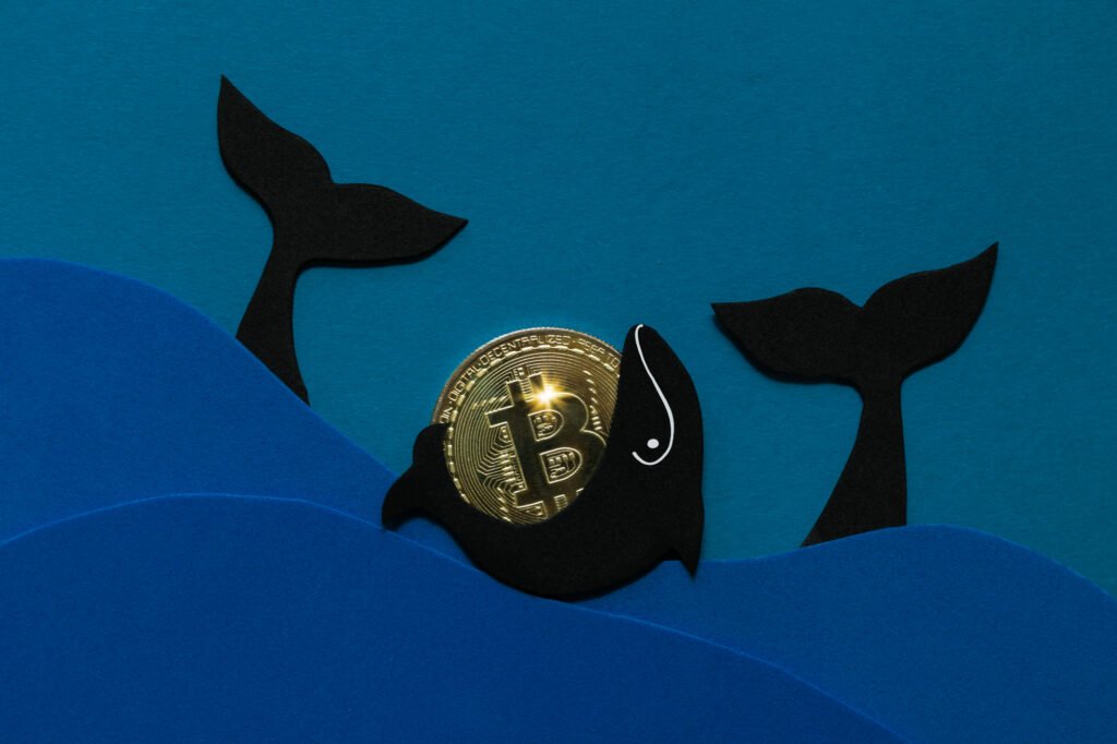 Bitcoin and Tether Whales Enter Accumulation Mode — Big BTC Price …