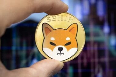 Shiba Inu Promising Developments Point Toward Sustained Price Growth