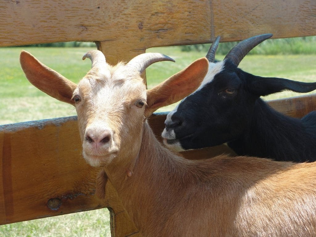 2c1b9b0f 4557 4b2f b504 ce3eebb87500