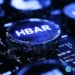 crypto news Hedera Hashgraph HBAR option03.webp